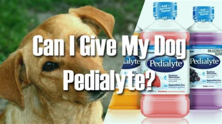 Can I give my dog Pedialyte?