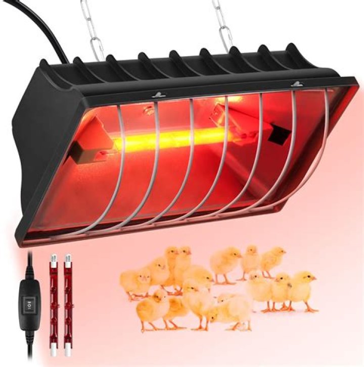 Can I leave my heat lamp on all night?