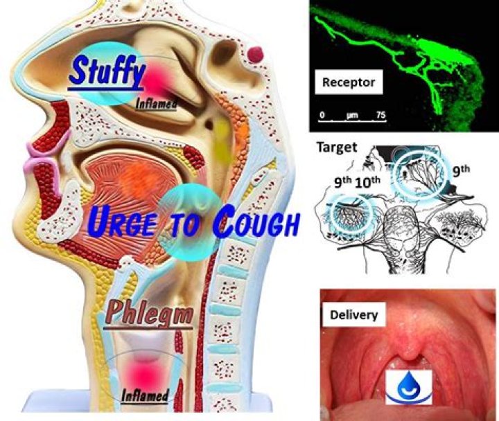 Can I pull phlegm out of my throat?