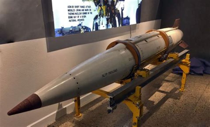 Can I roach bomb my car?