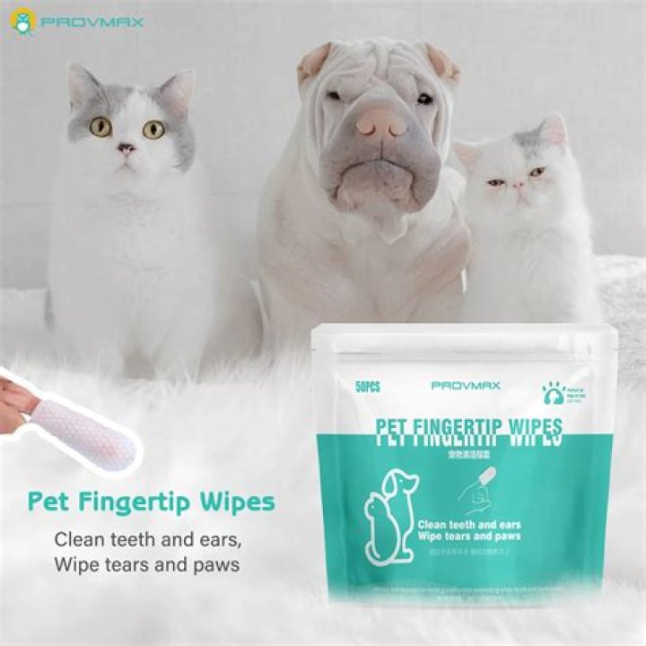 Can I use baby wipes to clean my dog's ears?