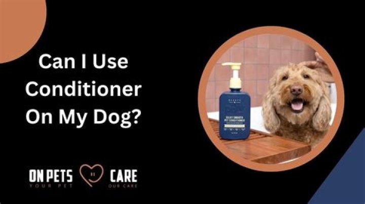 Can I use conditioner on my dog?