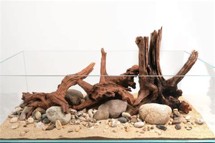 Can I use driftwood from the beach in my aquarium?