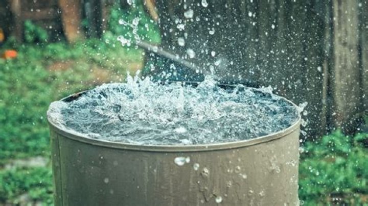 Can I use rain water in my radiator?