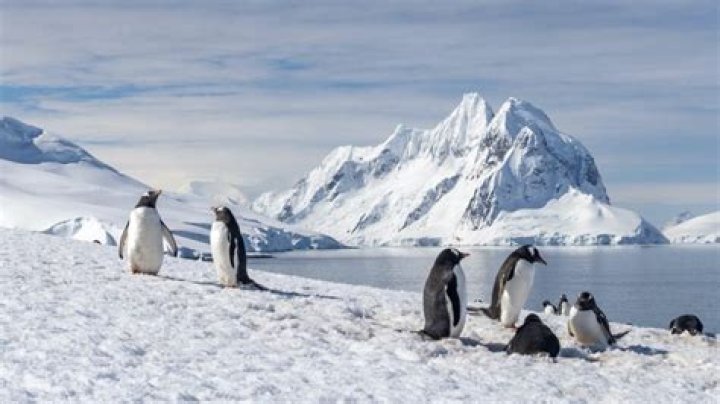 Can I visit Antarctica on my own?