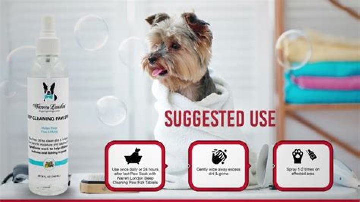 Can I wash my dog paws everyday?