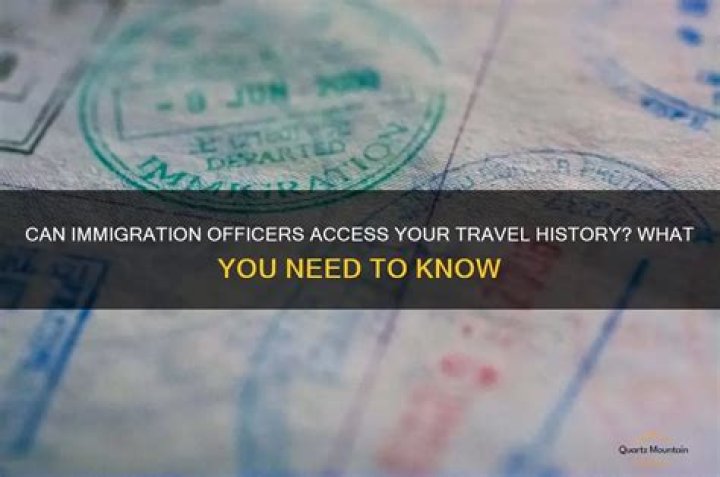 Can immigration see your travel history?
