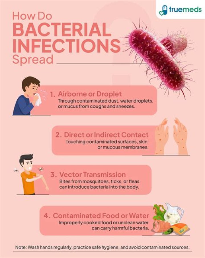 Can infections prevent ovulation?