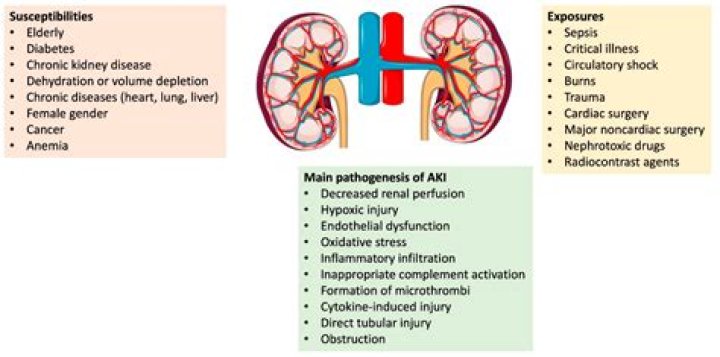 Can kidney cause tremors?