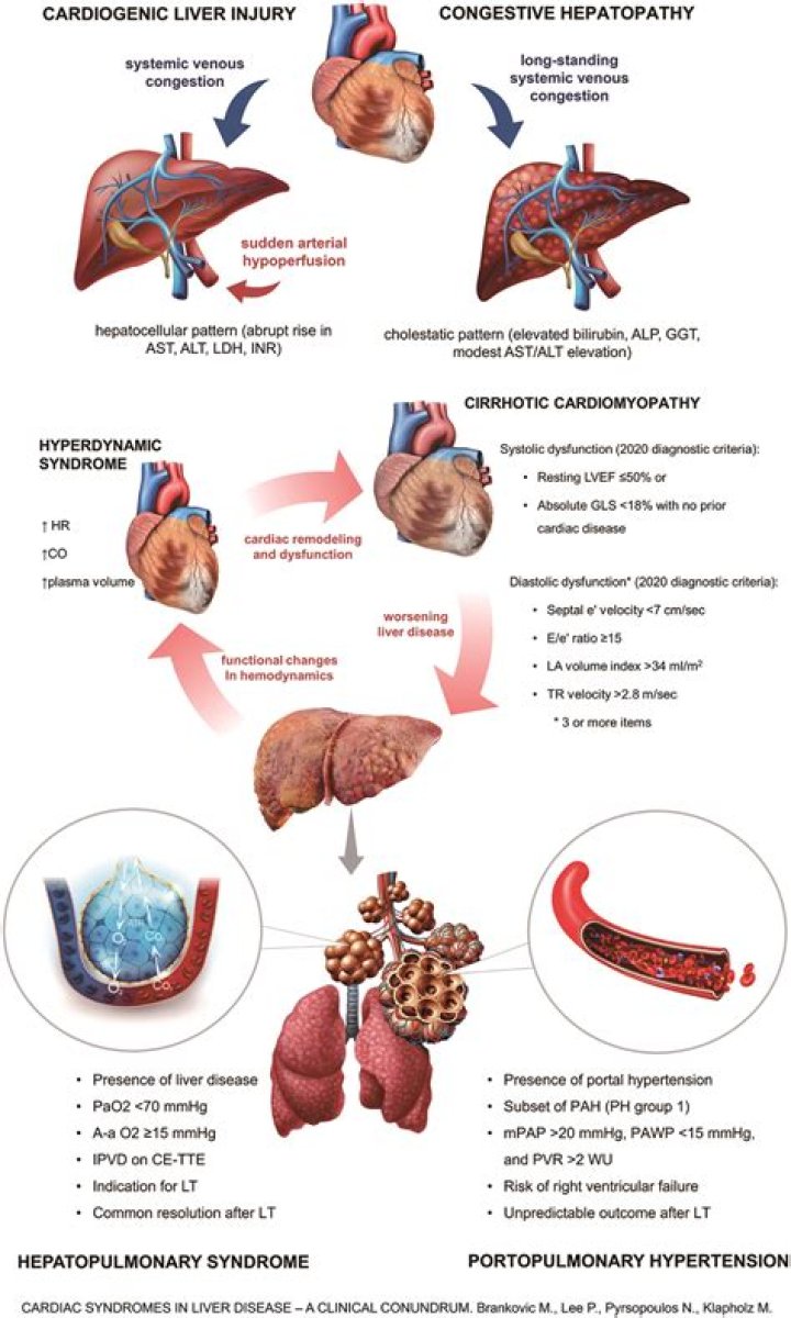 Can lack of vitamin D cause low blood pressure?