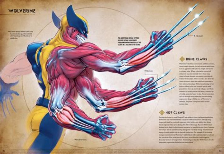 Can Magneto rip out Wolverine's skeleton?