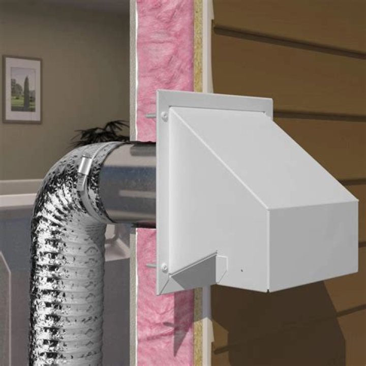 Can mice come in through dryer vents?