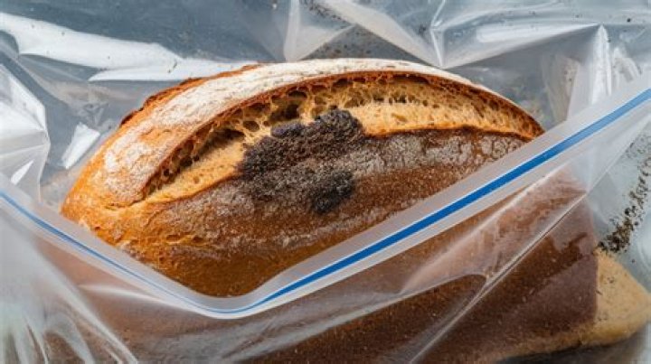 Can mold grow in a vacuum-sealed bag?