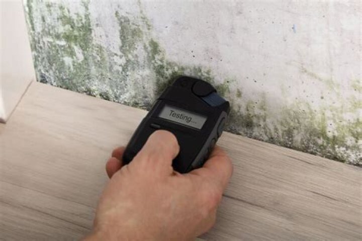 Can mold grow under vinyl flooring on concrete?