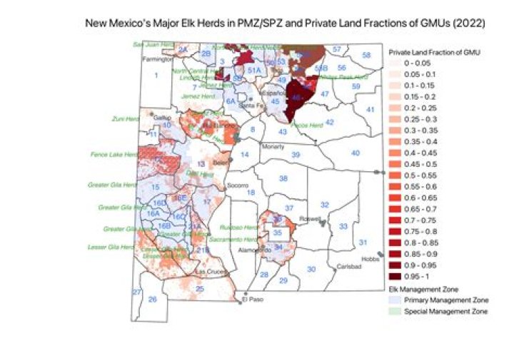 Can non residents hunt elk in New Mexico?