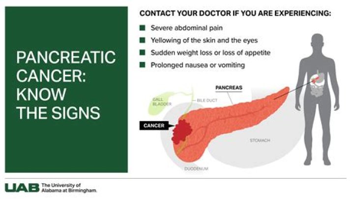 Can pancreas cause back pain?