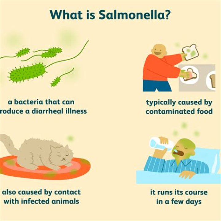 Can Salmonella cause death?