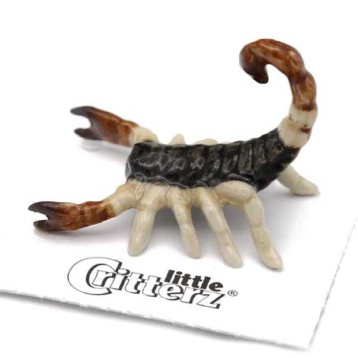 Can scorpions climb porcelain?