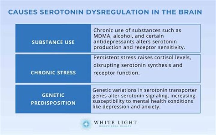 Can serotonin cause brain damage?