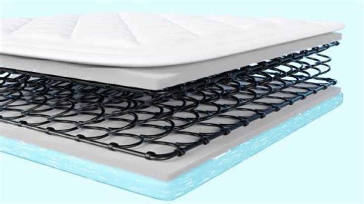 Can snake get inside mattress?