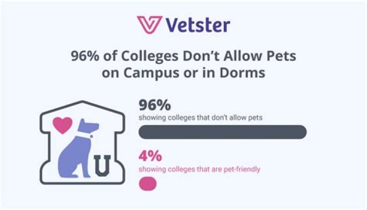 Can students have pets in dorms?