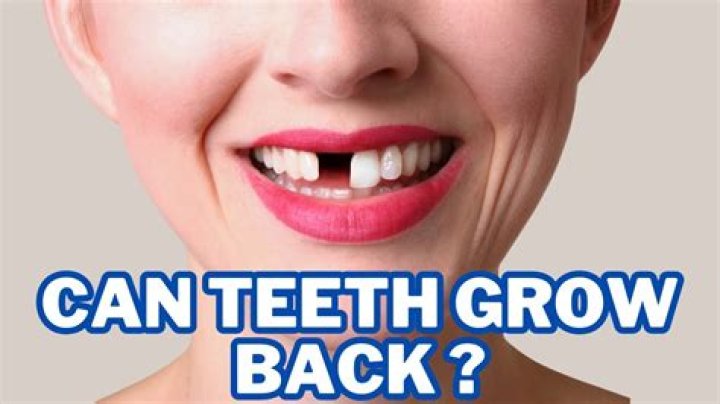 Can teeth grow at age 30?