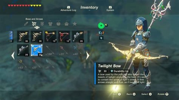 Can the Twilight Bow break in Botw?