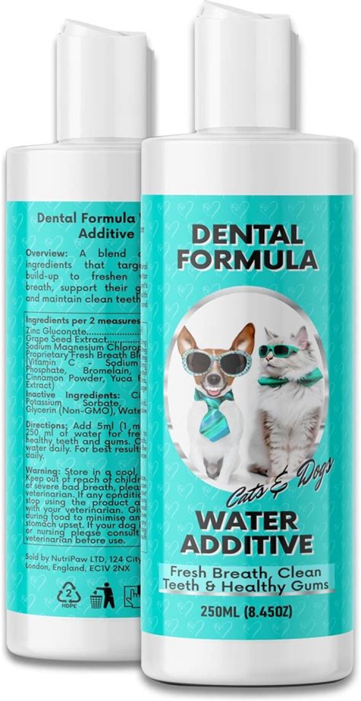 Can you add mouthwash to dogs water?