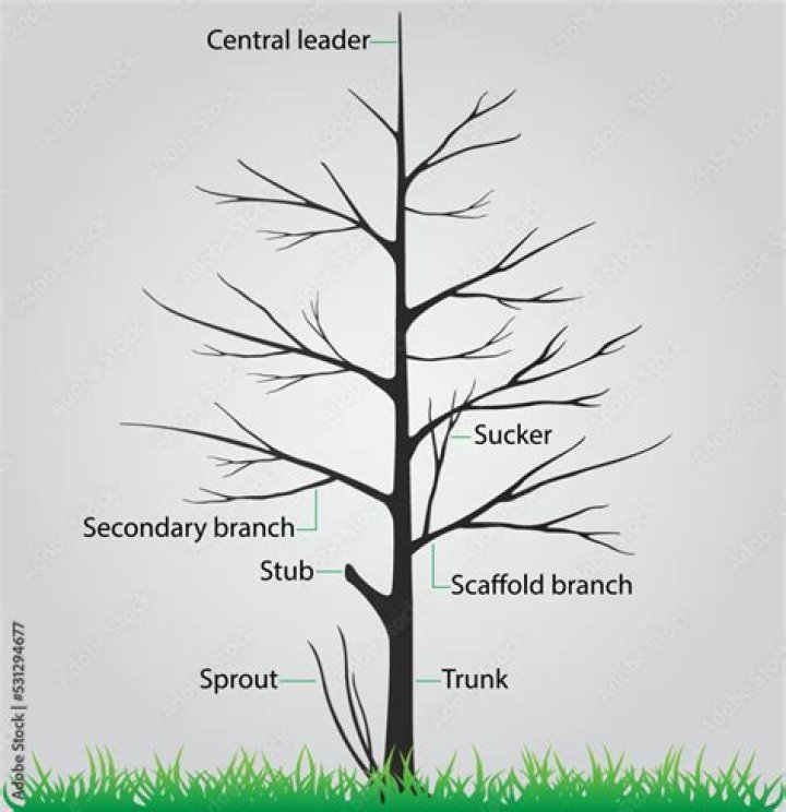 Can you break tree branches in golf?
