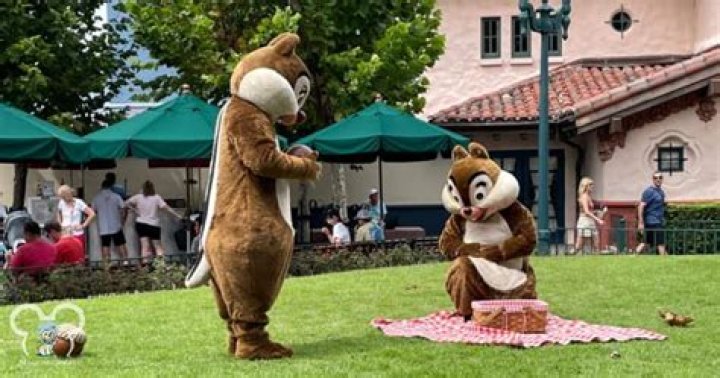 Can you bring Yeti cups into Disney?