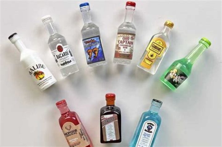 Can you buy bottles of liquor on Disney cruise?