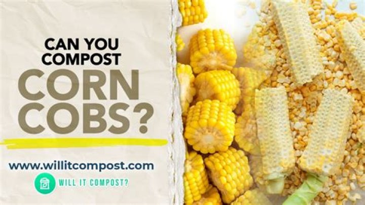 Can you compost corn chips?