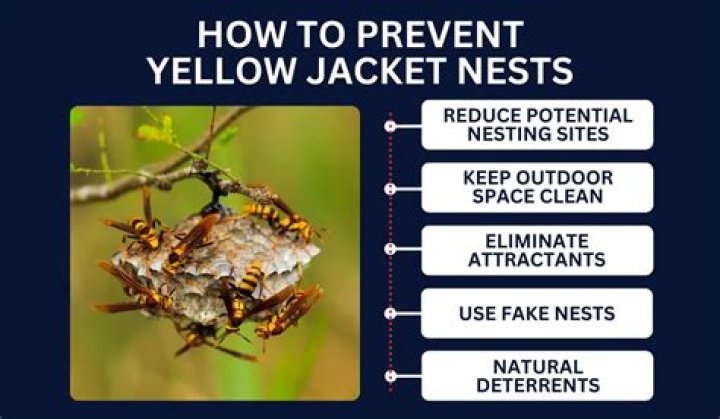 Can you drown a yellow jacket nest?