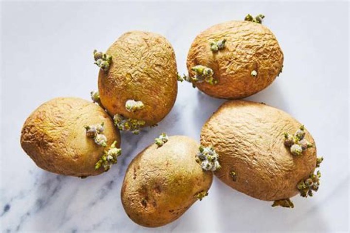 Can you eat a raw almond?