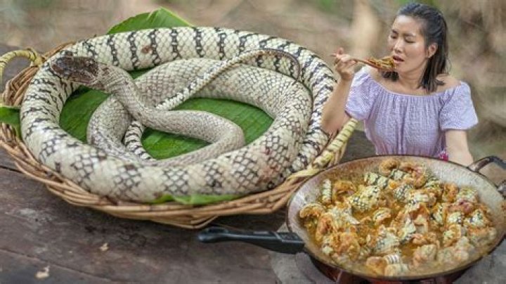 Can you eat a snake?