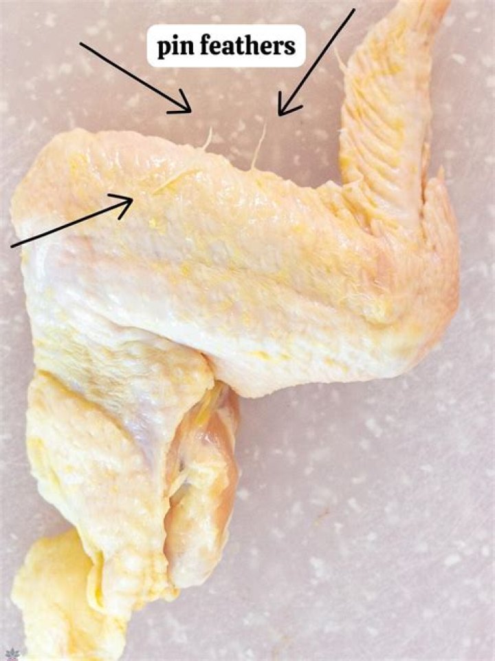 Can you eat chicken pin feathers?