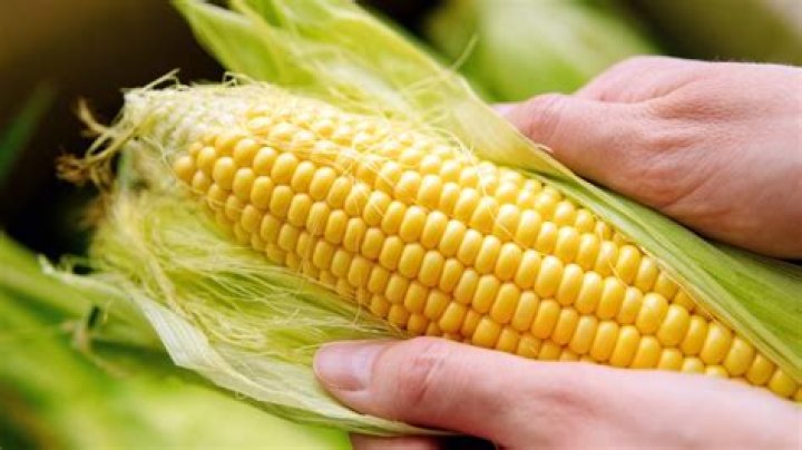 Can you eat corn on dialysis?