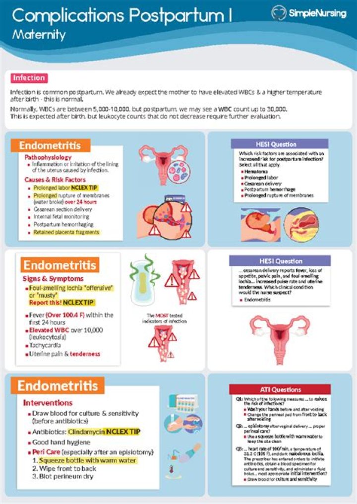 Can you get endometritis postpartum?