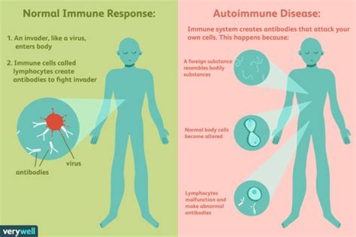 Can you have an autoimmune disease with normal blood work?