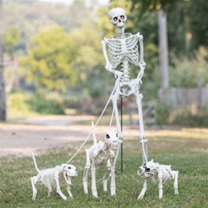 Can you leash skeleton?