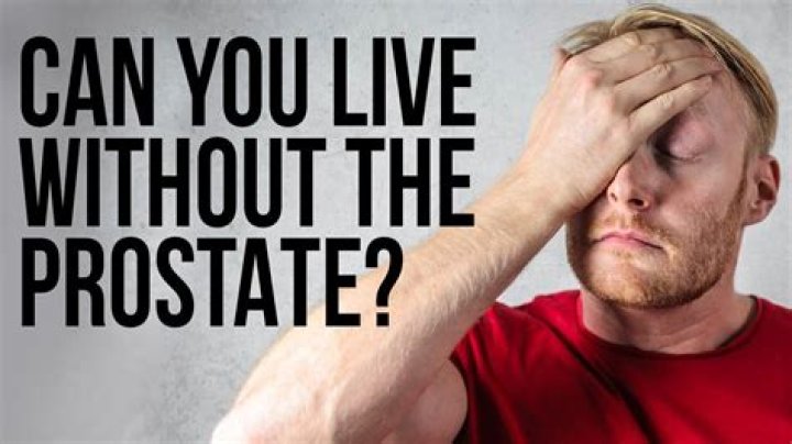 Can you live without your prostate?