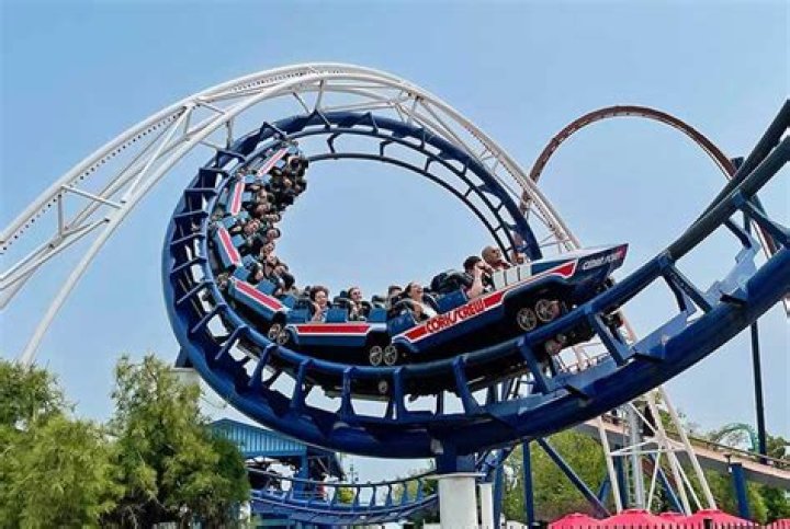 Can you lose weight at amusement parks?