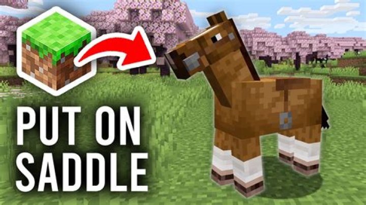 Can you put elytra on a horse in Minecraft?
