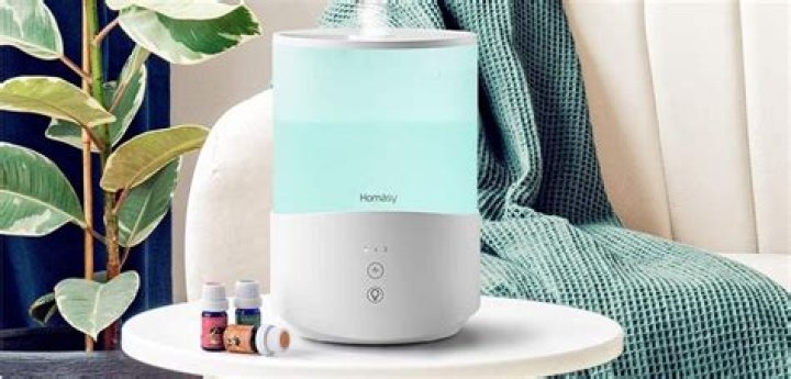 Can you put essential oils in a humidifier?