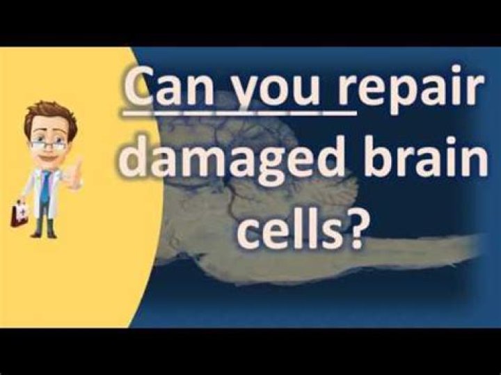Can you repair damaged brain cells?