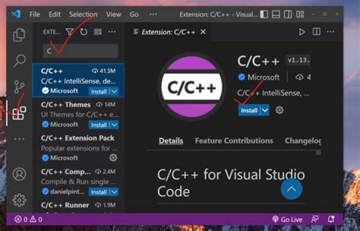 Can you run C++ in notepad?