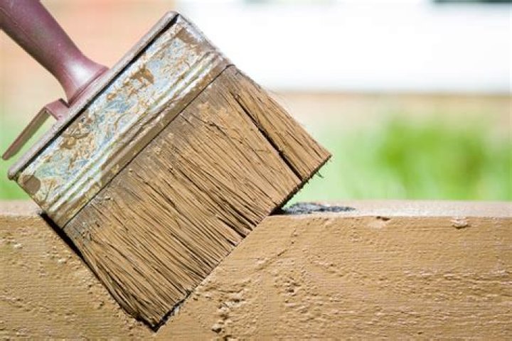 Can you save a dried paint brush?