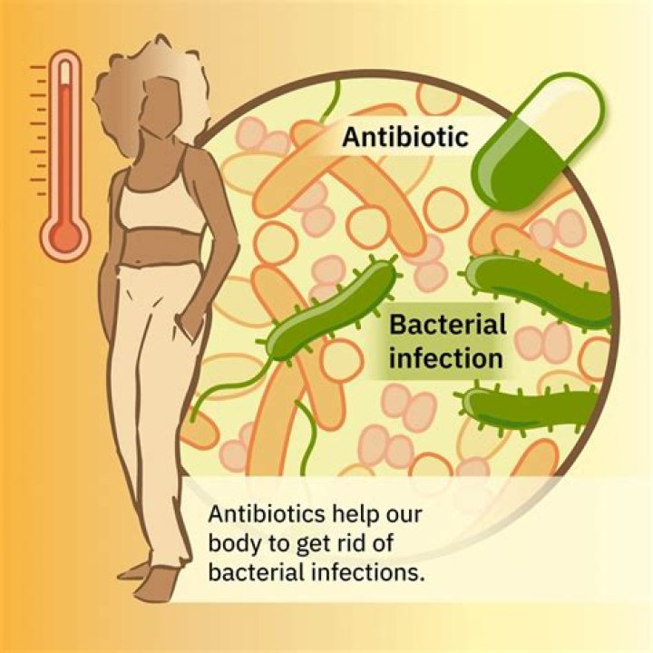 Can you take antibiotics on an empty stomach?