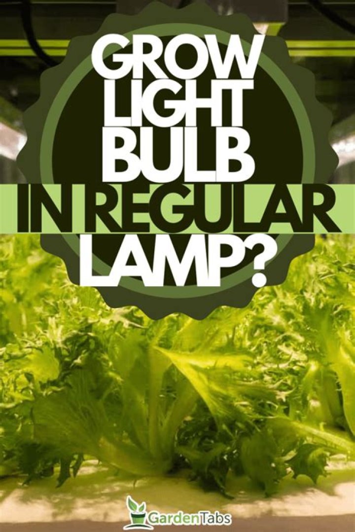 Can you use a regular lamp for succulents?