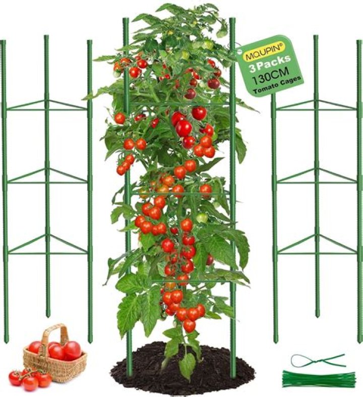 Can you use tomato cages for peppers?